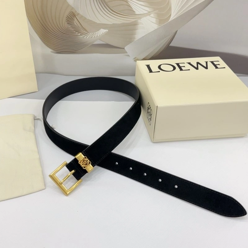 Colorful Loewe Belts 296845