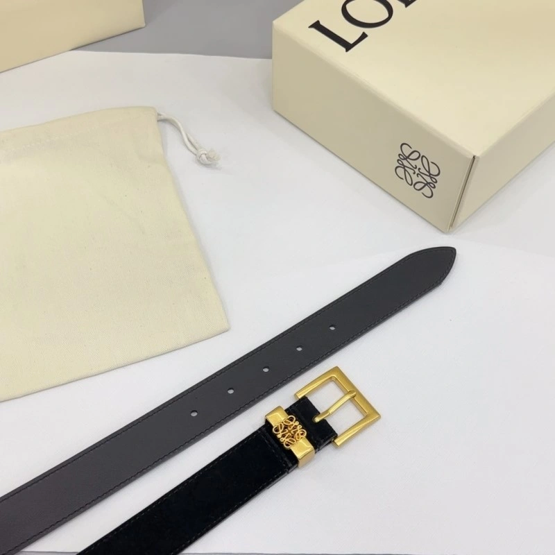 Colorful Loewe Belts 296845