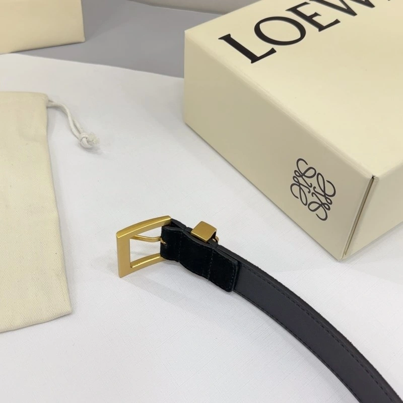 Colorful Loewe Belts 296845
