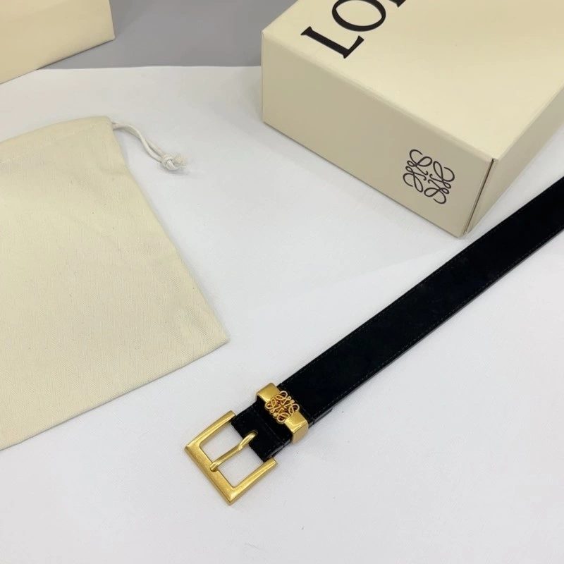 Colorful Loewe Belts 296845