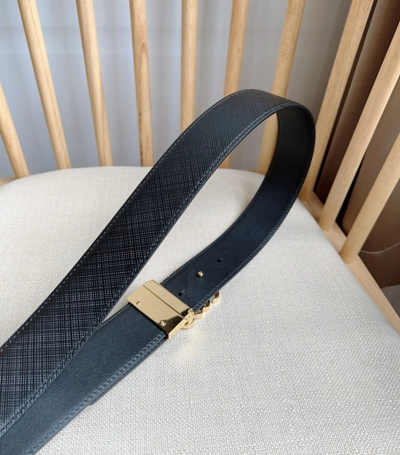Elegant Loewe Belts 296819