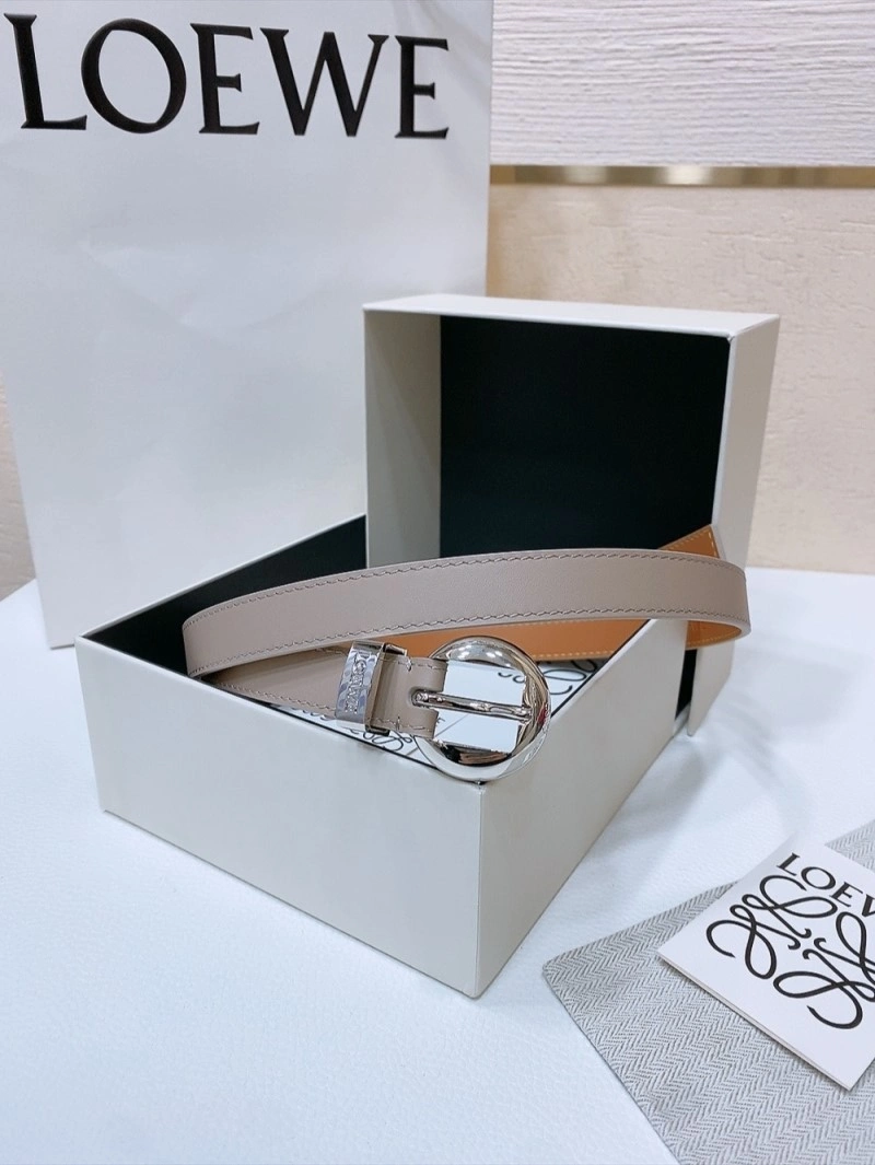 Colorful Loewe Belts 296937