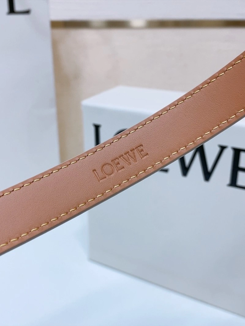 Colorful Loewe Belts 296937