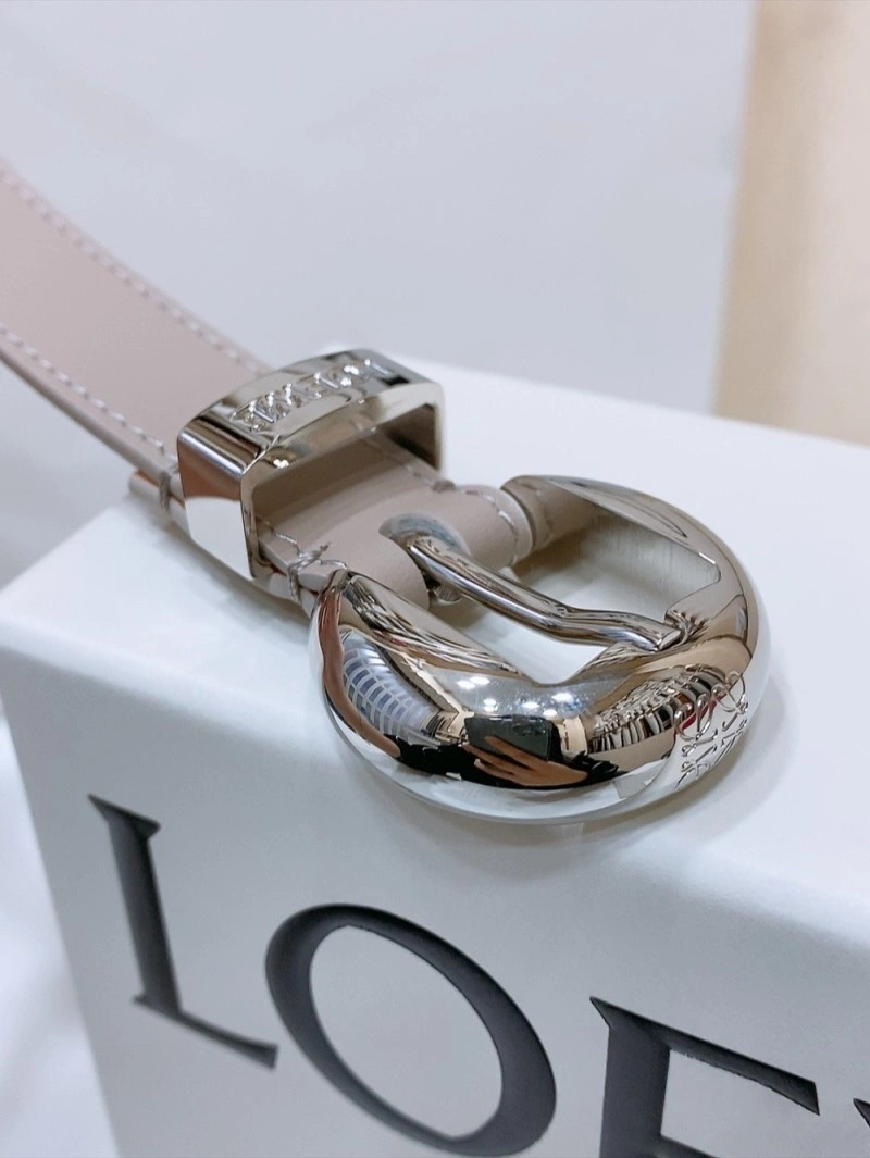 Colorful Loewe Belts 296937