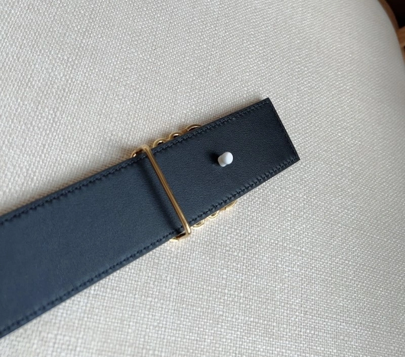 Loewe Belts Bold 296892