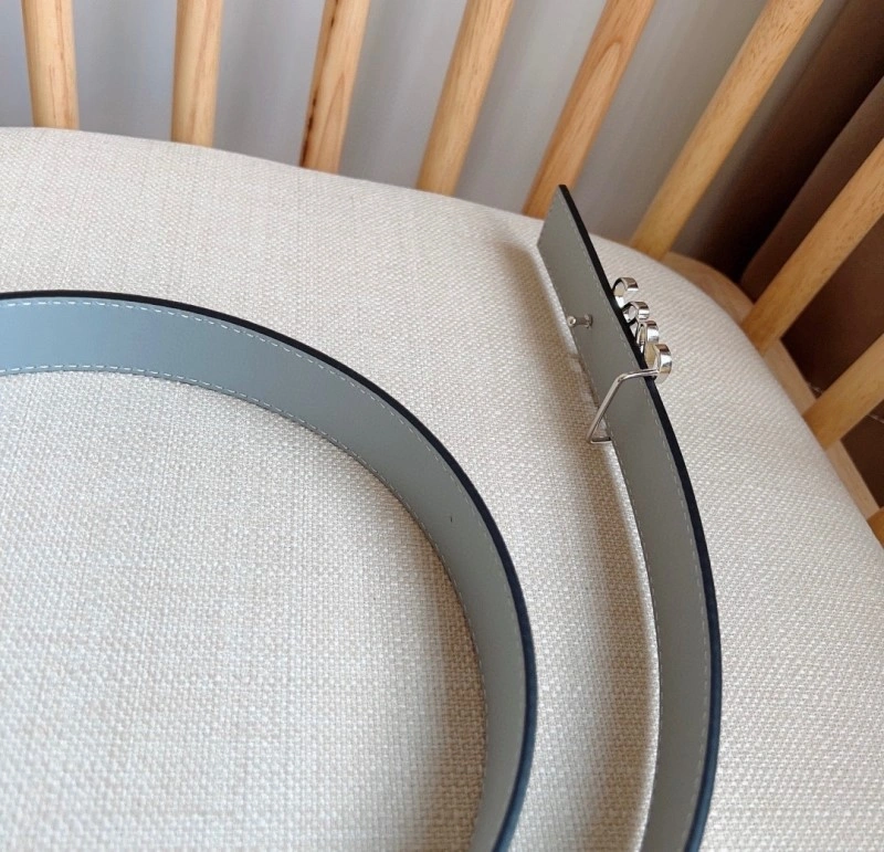 Sporty Loewe Belts 296868
