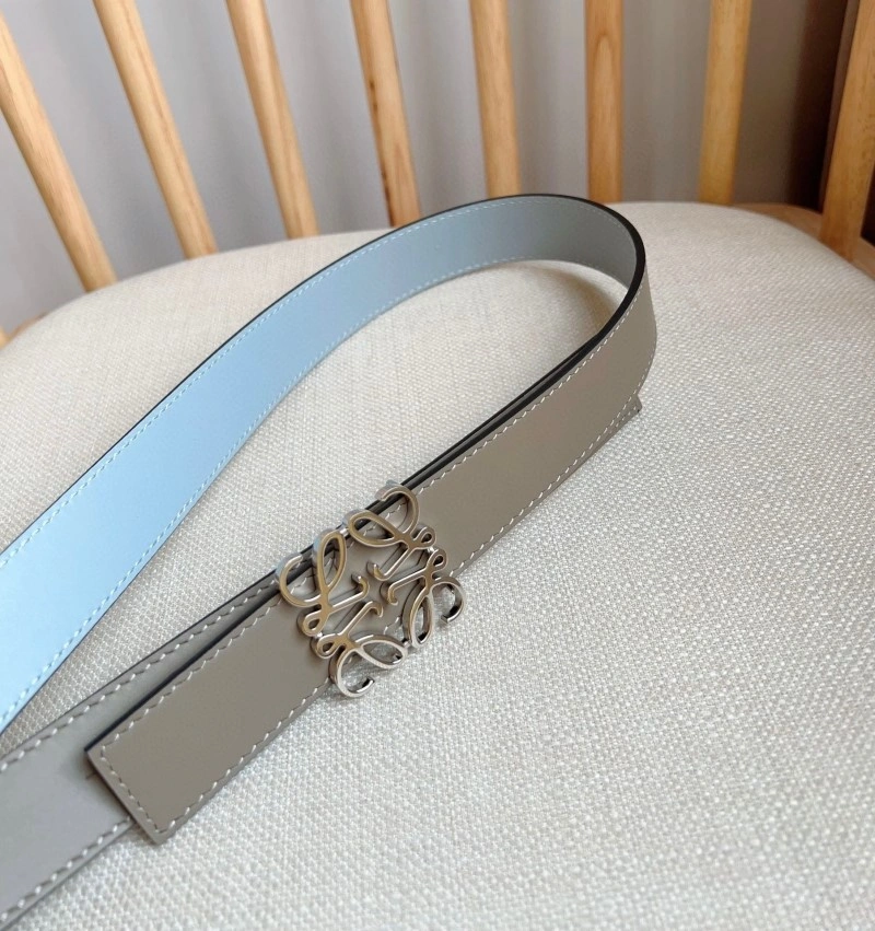 Sporty Loewe Belts 296868