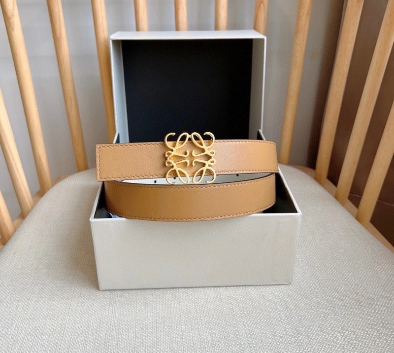 Loewe Belts Colorful 296869