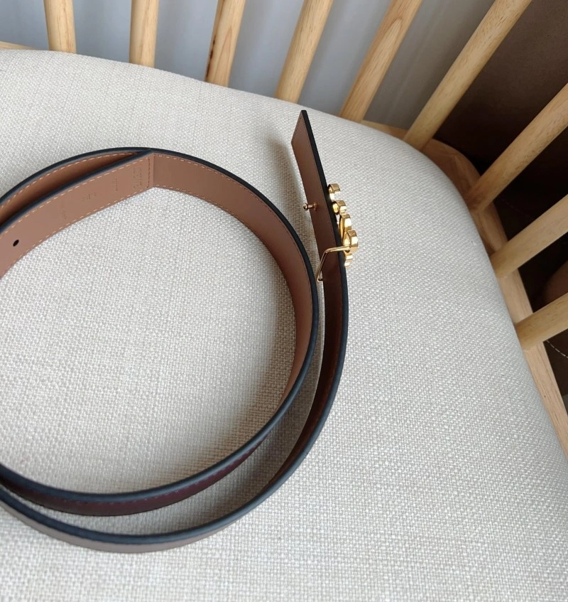 AllSeason Loewe Belts 296880