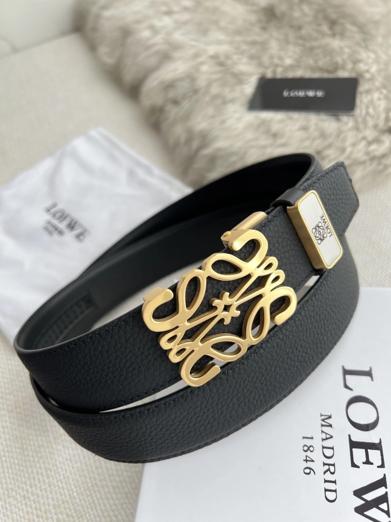 WellDesigned Loewe Belts 296875