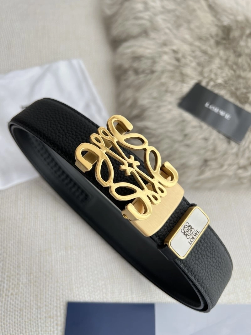 WellDesigned Loewe Belts 296875