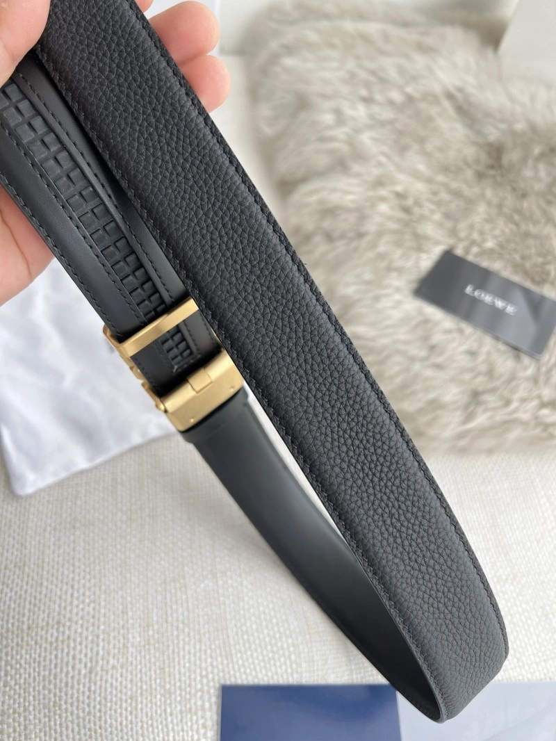 WellDesigned Loewe Belts 296875