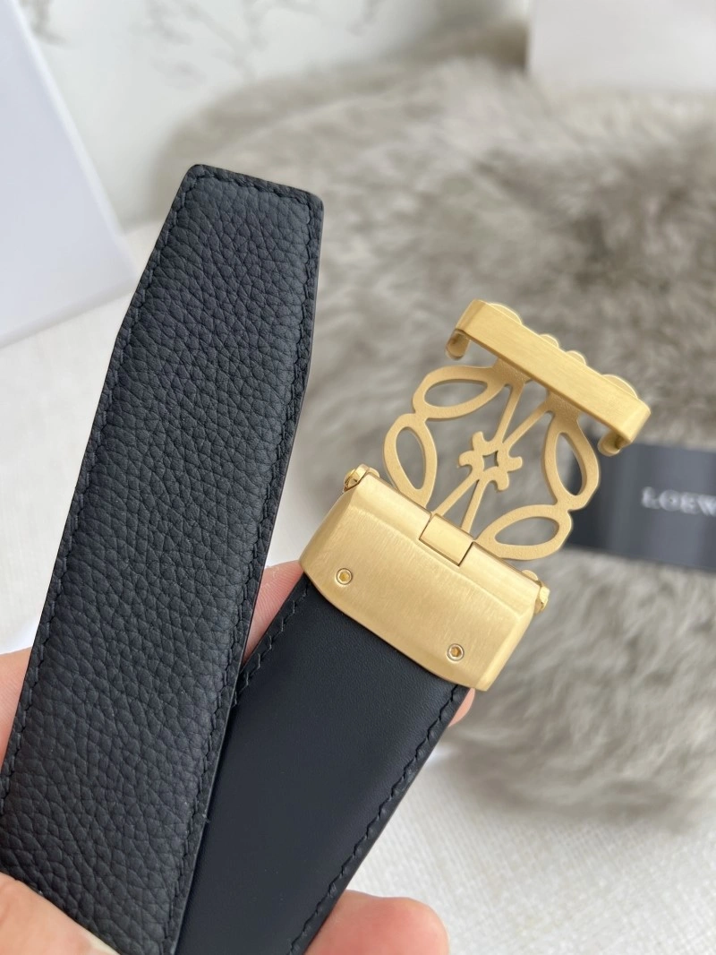 WellDesigned Loewe Belts 296875