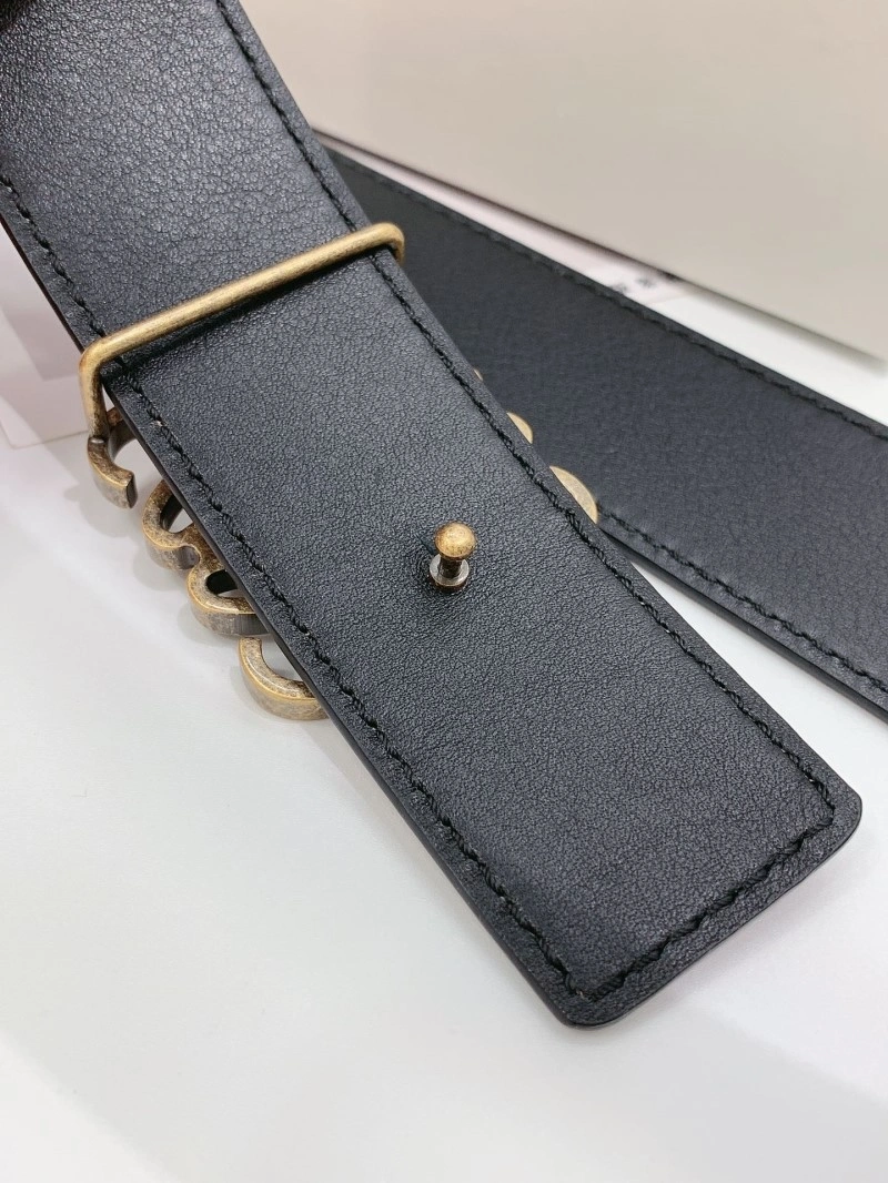 Loewe Belts OdorResistant 296806