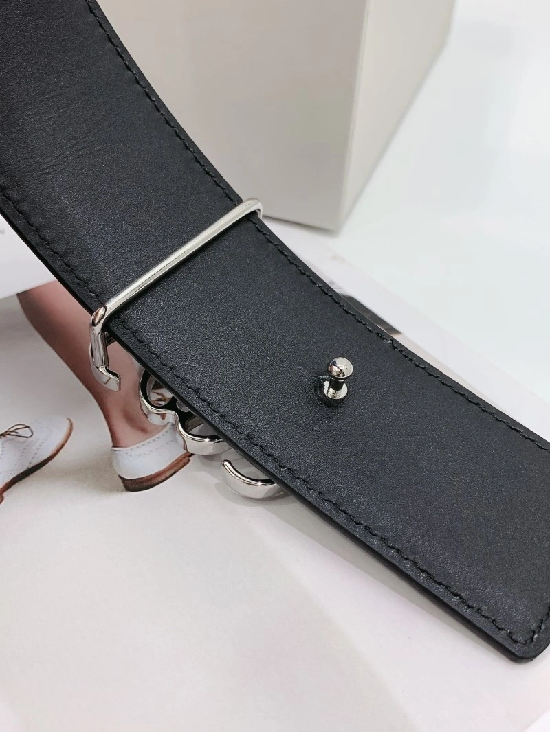 HighPerformance Loewe Belts 296800