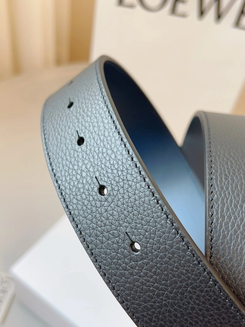 EasyCare Loewe Belts 296762