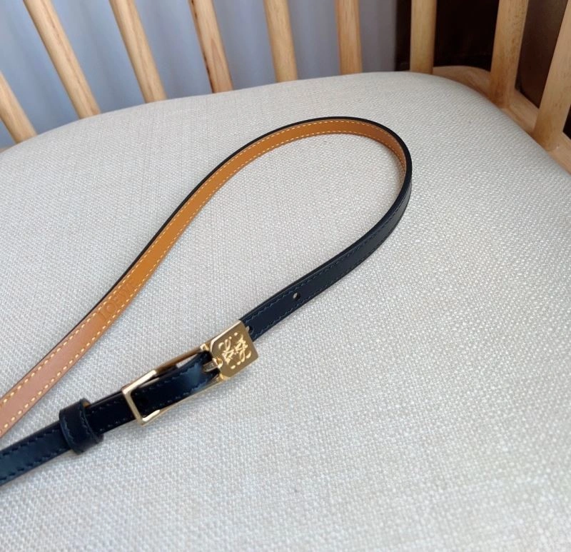 AllSeason Loewe Belts 297037