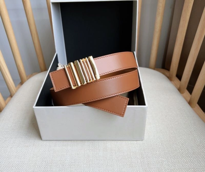 Loewe Belts Practical 297012