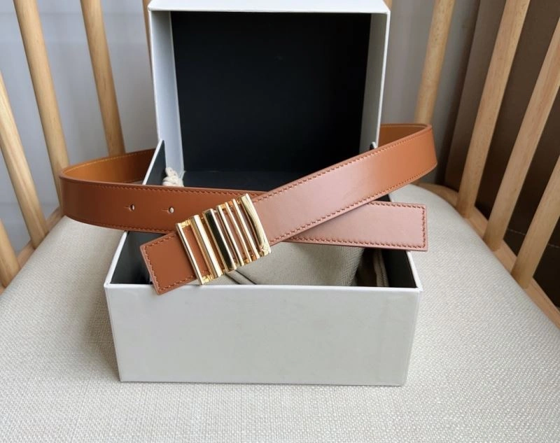 Loewe Belts Practical 297012