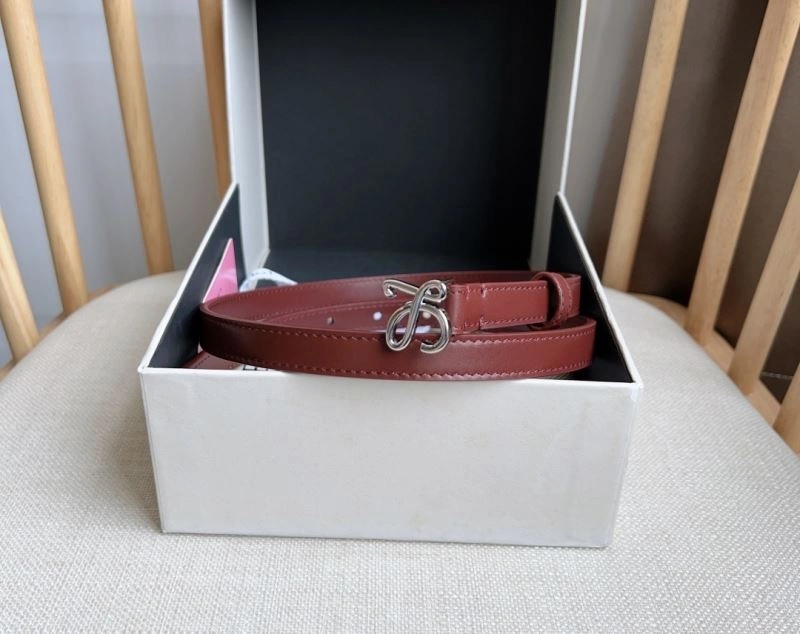 Loewe Belts Functional 296984