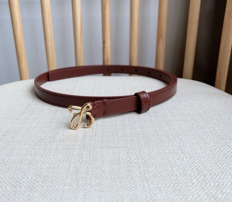 Practical Loewe Belts 296983