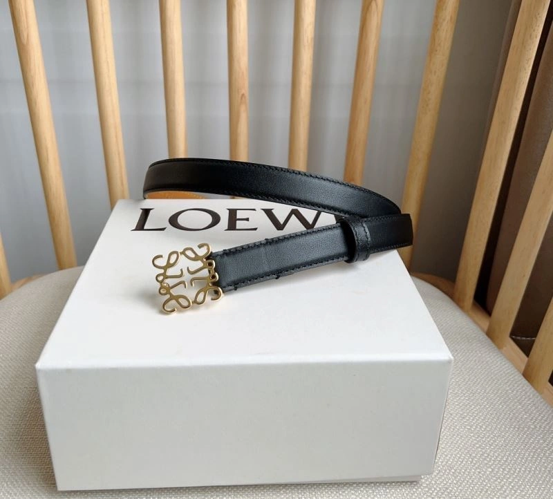 Colorful Loewe Belts 296952