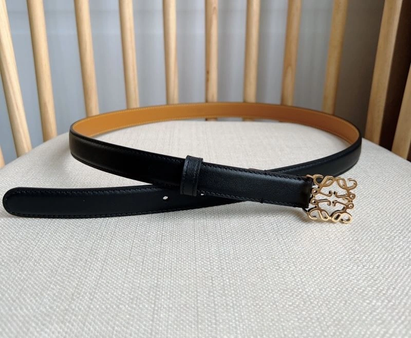 Colorful Loewe Belts 296952