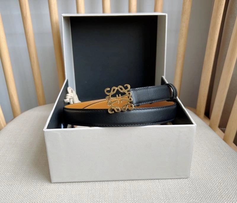 Colorful Loewe Belts 296952