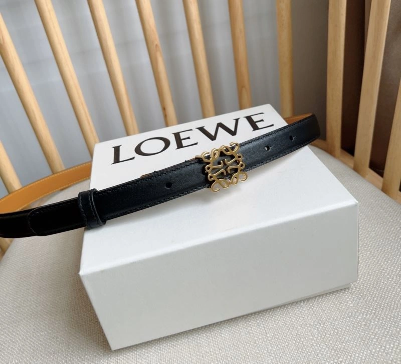 Colorful Loewe Belts 296952