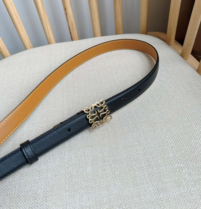 Colorful Loewe Belts 296952