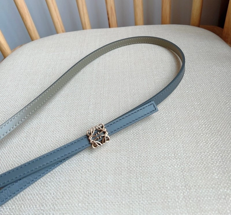 EasyCare Loewe Belts 296746