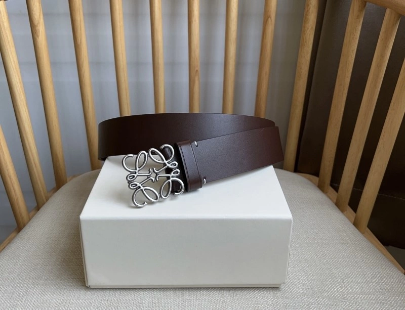 DailyWear Loewe Belts 296694