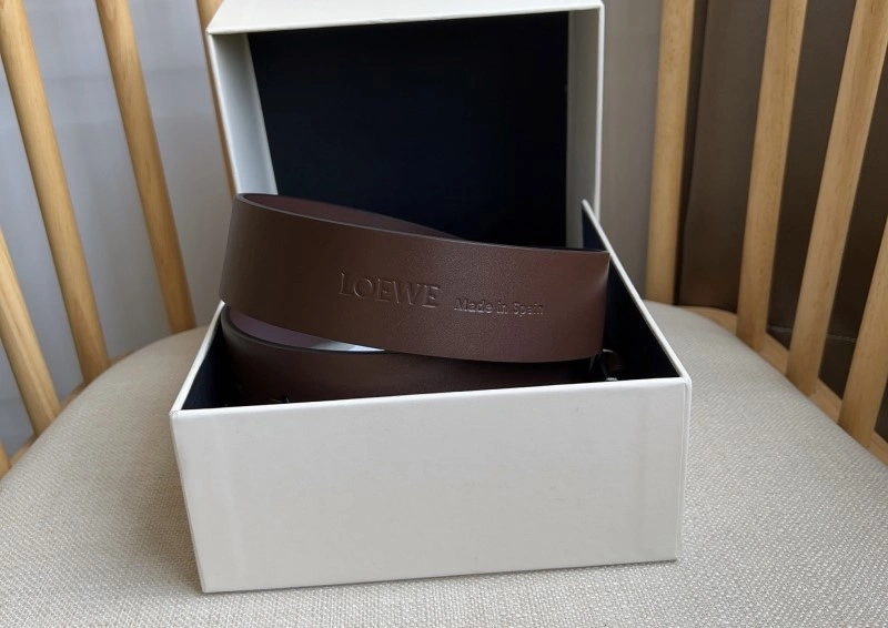 DailyWear Loewe Belts 296694