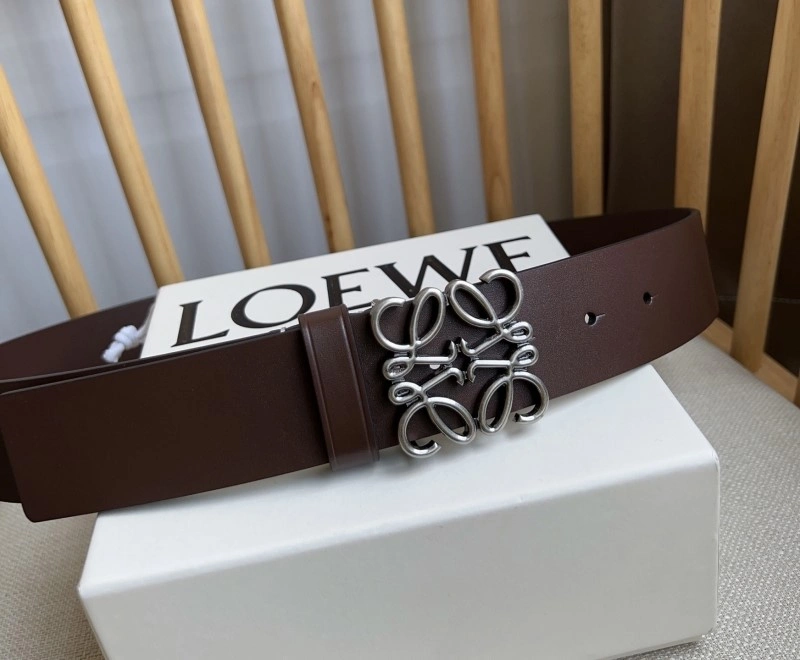 DailyWear Loewe Belts 296694