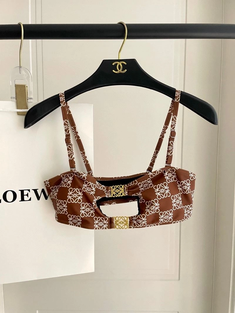 Colorful Loewe Bikins 255789