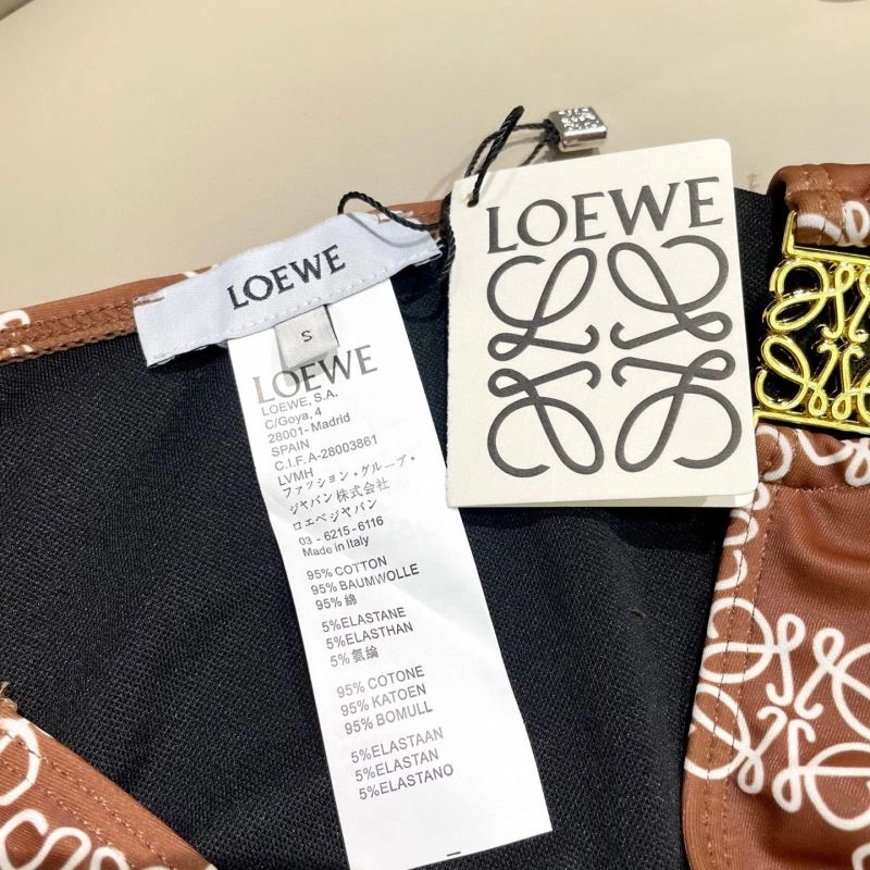 Colorful Loewe Bikins 255789