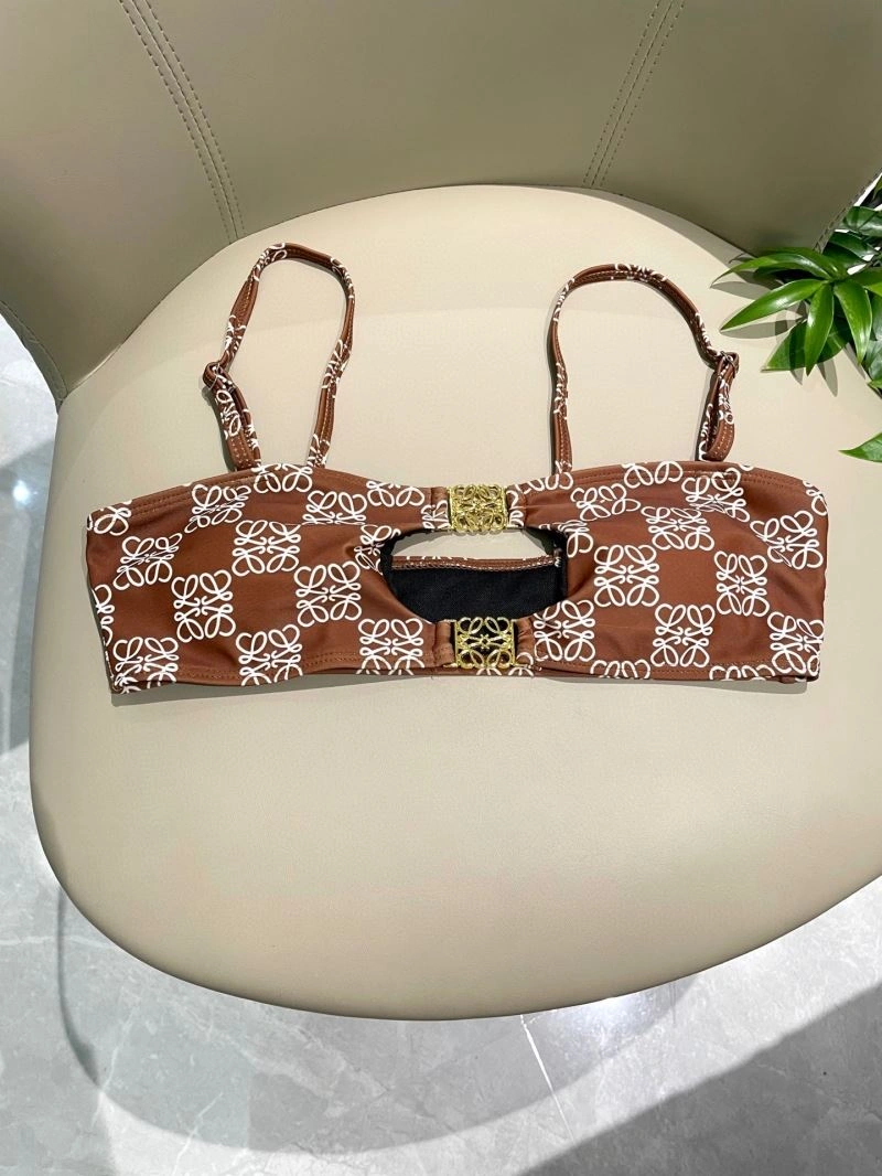 Colorful Loewe Bikins 255789
