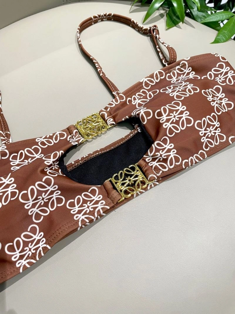 Colorful Loewe Bikins 255789