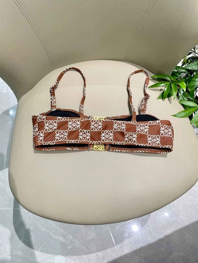 Colorful Loewe Bikins 255789