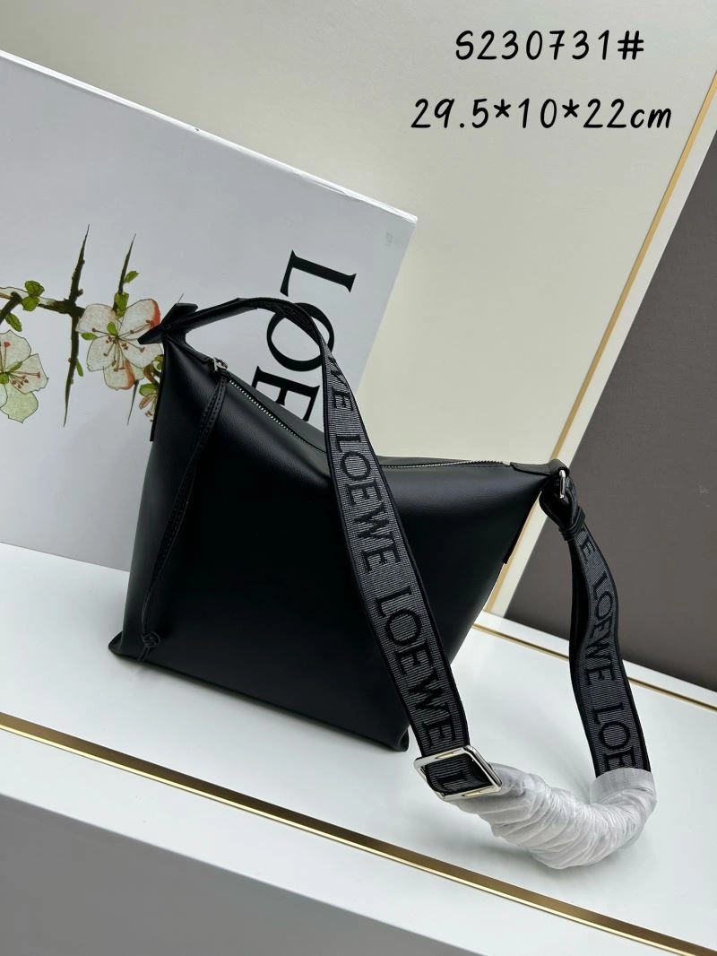 GoAnywhere Loewe Cubi Bags 83817