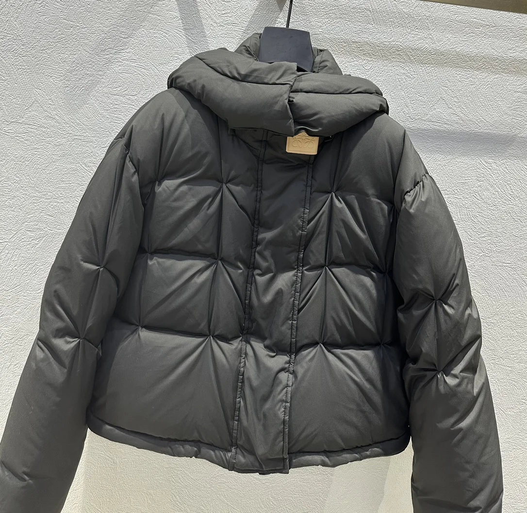 WeatherProof Loewe Down Jackets 165491
