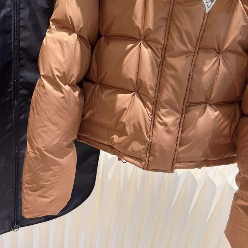 Loewe Down Jackets Fashionable 164974