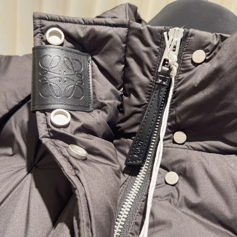 FlexibleFit Loewe Down Jackets 165009