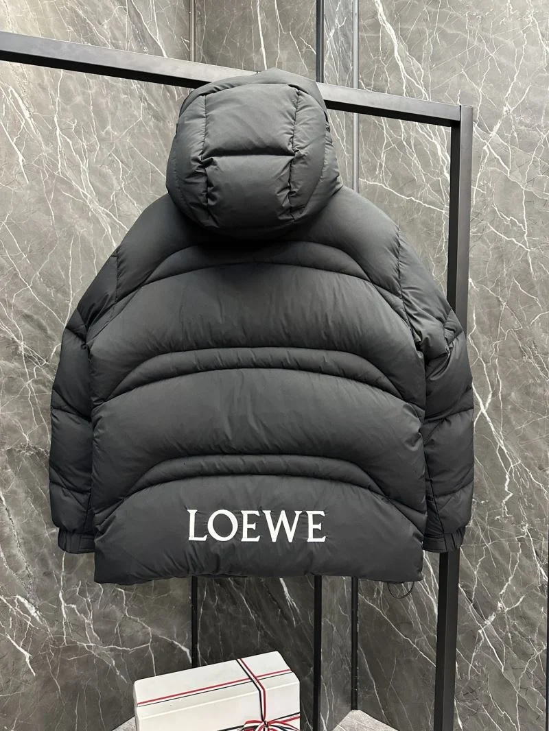 Loewe Down Jackets WellDesigned 164677