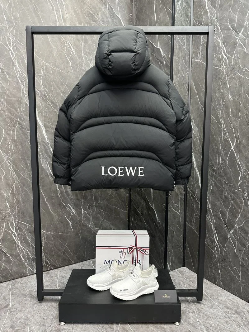 Loewe Down Jackets WellDesigned 164677