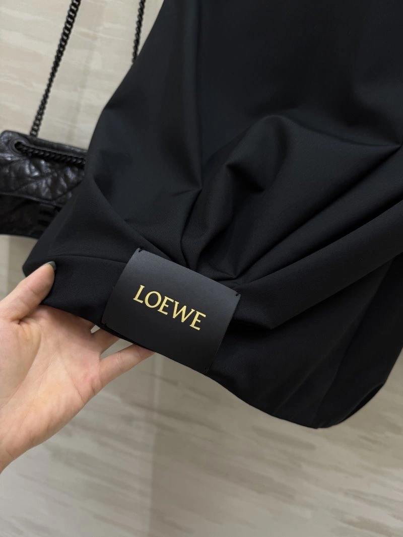 Versatile Loewe Dress Suits 154931