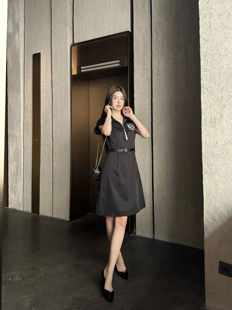TravelReady Loewe Dress 163971