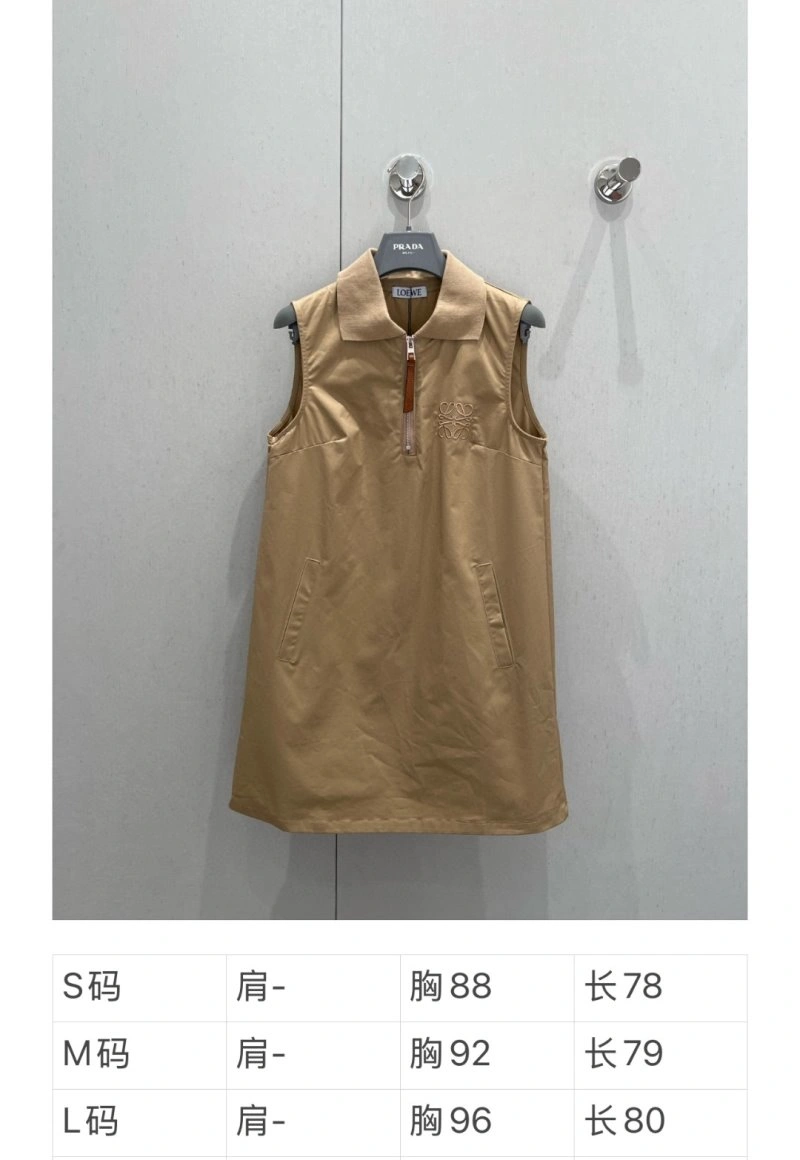Elegant Loewe Dress 149860