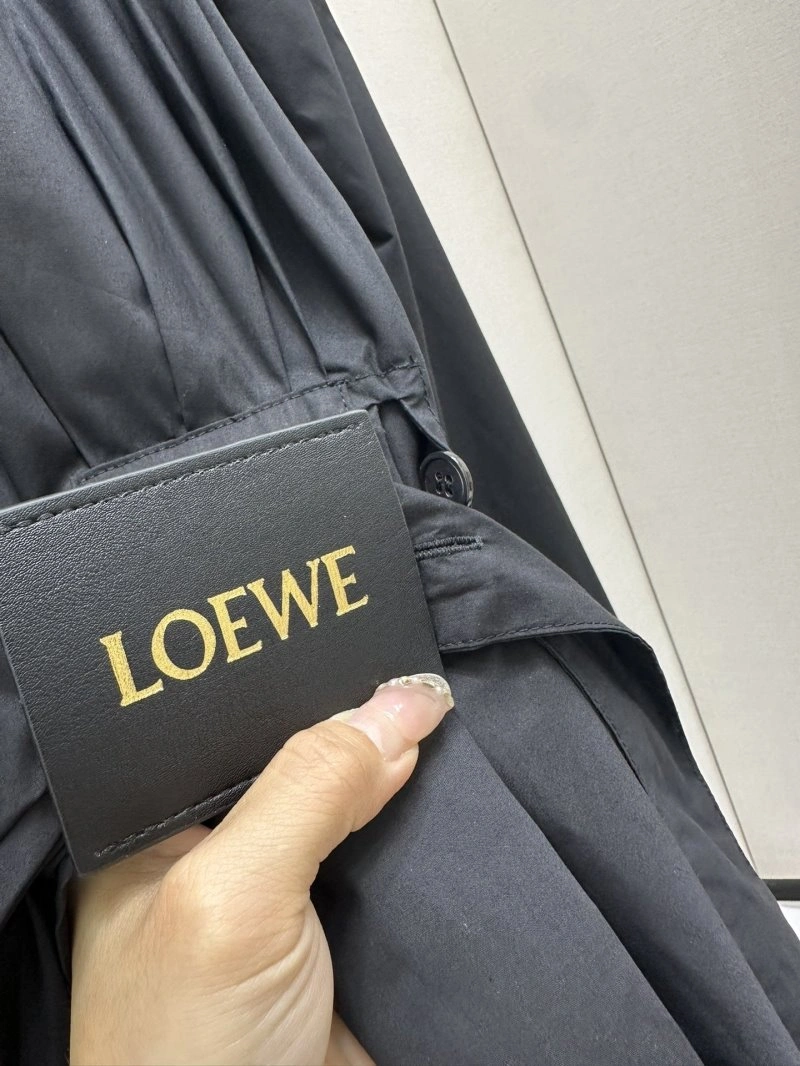 Unique Loewe Dress 149843