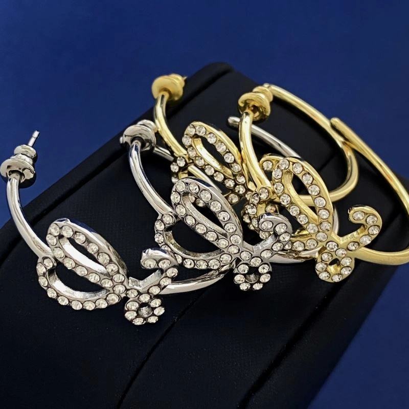 AllSeason Loewe Earrings 213904